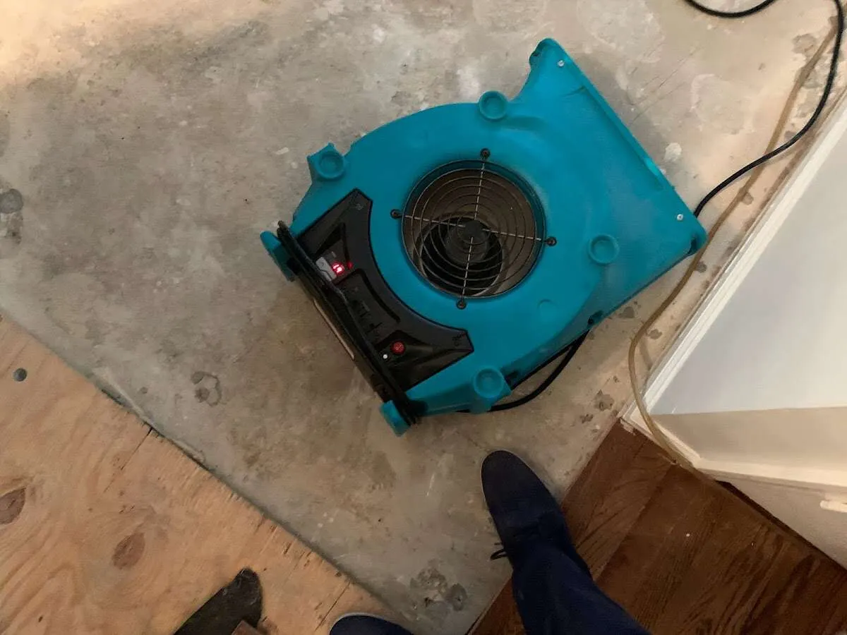 Air mover drying subfloor during Leak Detection & Repair in Dormont